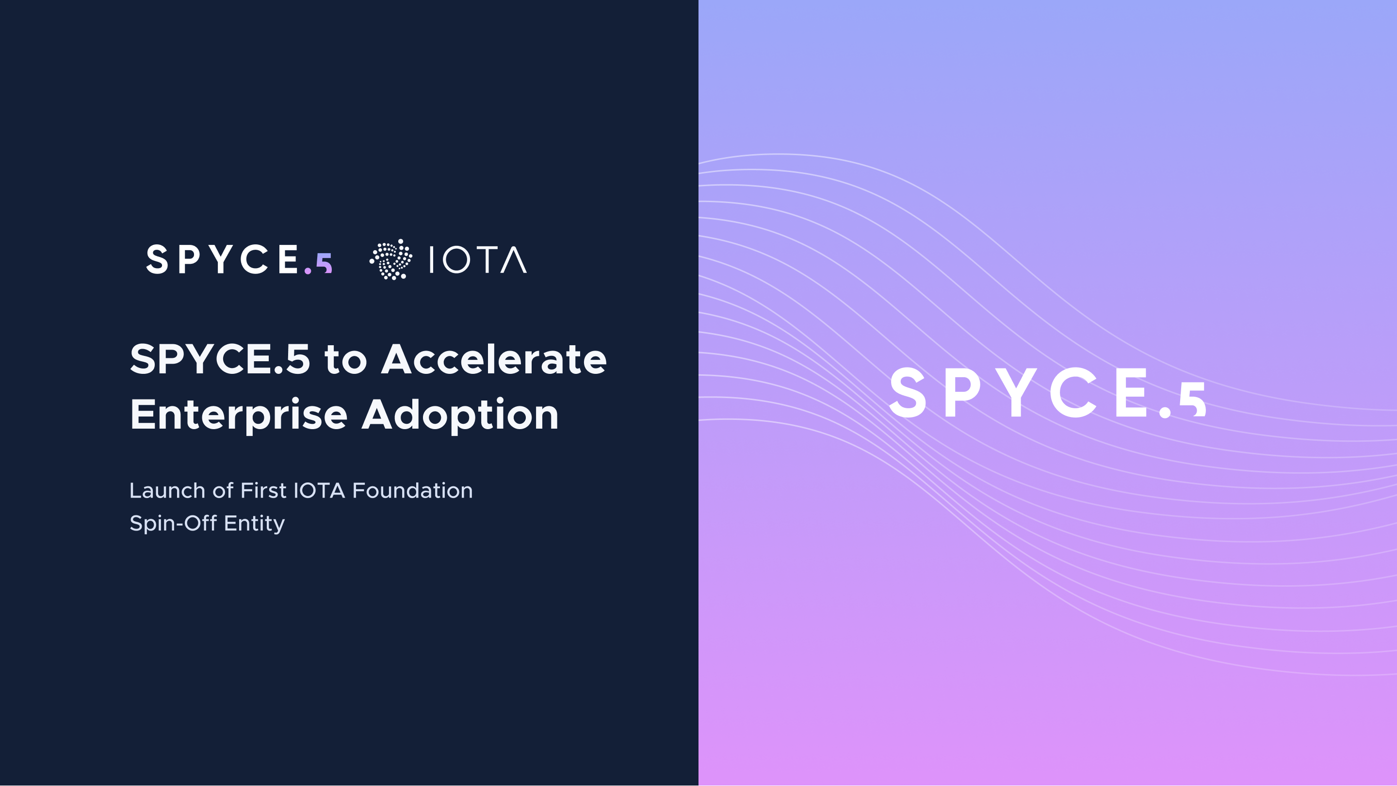 IOTA welcomes SPYCE.5